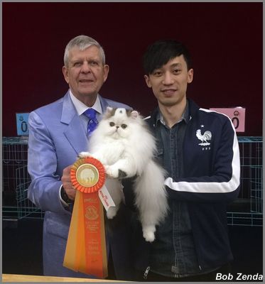 Catillak Blessing of Catneed